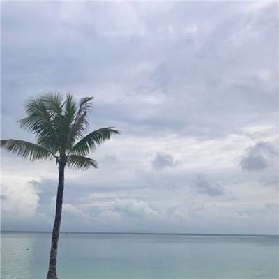 爱游戏平台官方网站