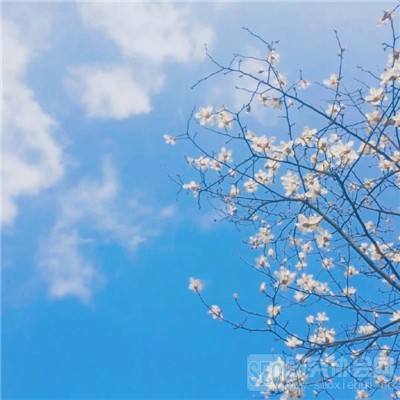 竞彩足球app官方手机app下载