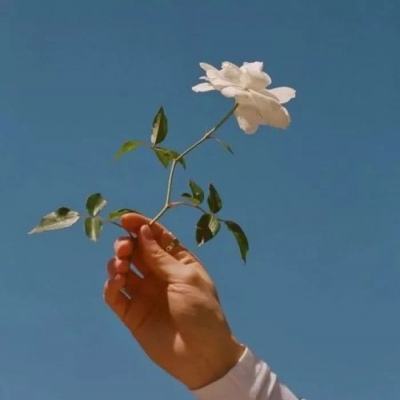 bet体育365官网正规下载手机版